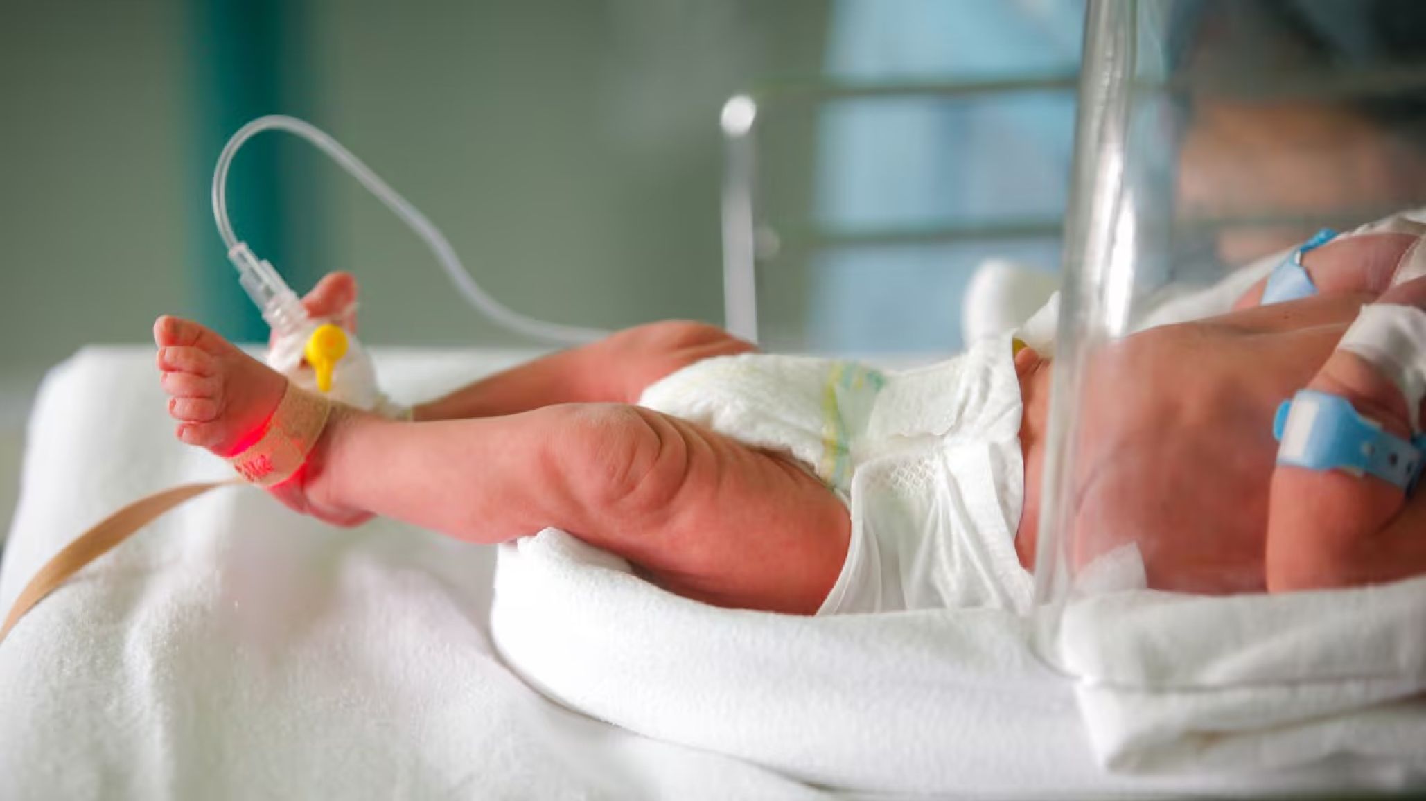 Impactante fallo en Córdoba: Un bebé nacido por gestación subrogada es declarado en adopción