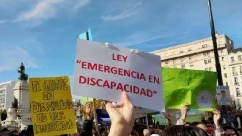 Emergencia en Discapacidad: el Gobierno promulgó la ley, pero suspendió su aplicación por falta de financiamiento