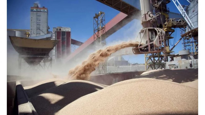 El Gobierno elimina retenciones hasta octubre: una apuesta corta para apurar dólares del campo