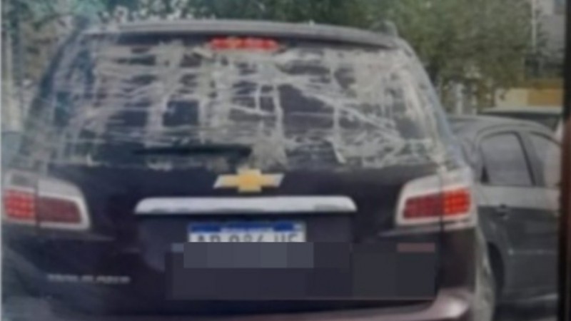 Indignación: denuncian que un automovilista atropelló y mató a un perro y no se detuvo