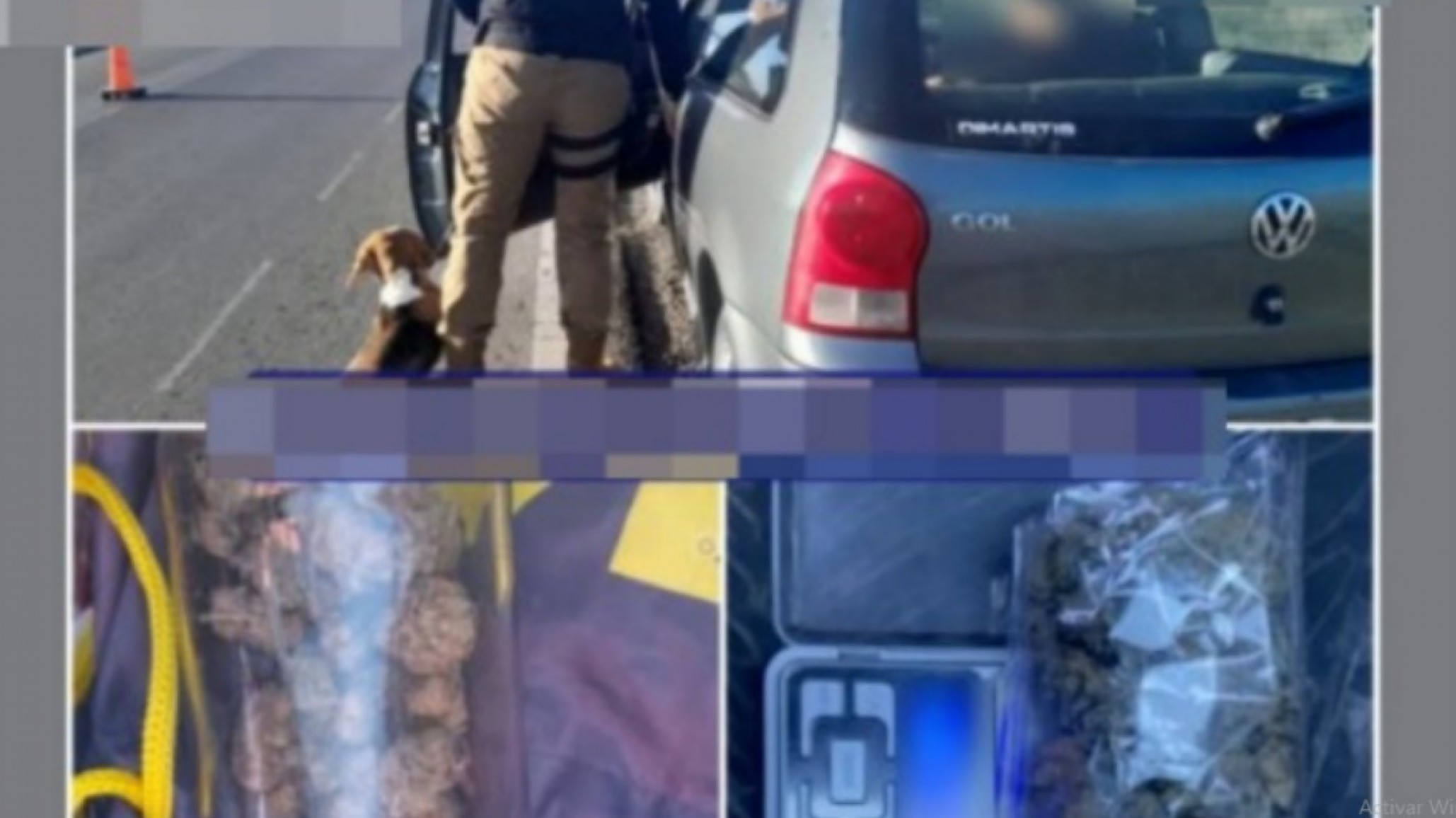 Un perro policía detectó marihuana en un control vehicular
