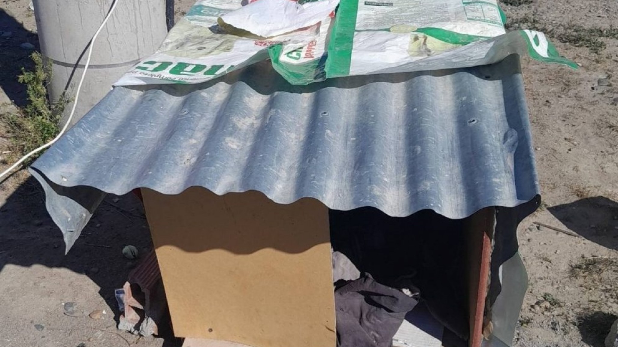 Dona una cucha en honor a un perro "callejerito" que falleció