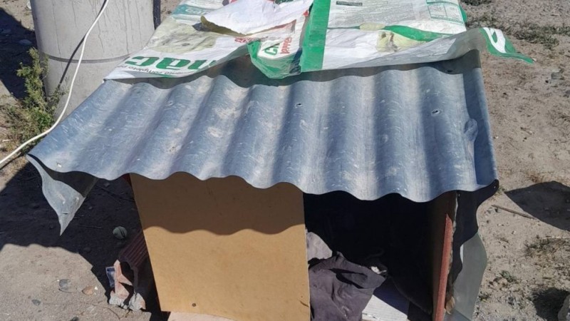 Dona una cucha en honor a un perro "callejerito" que falleció