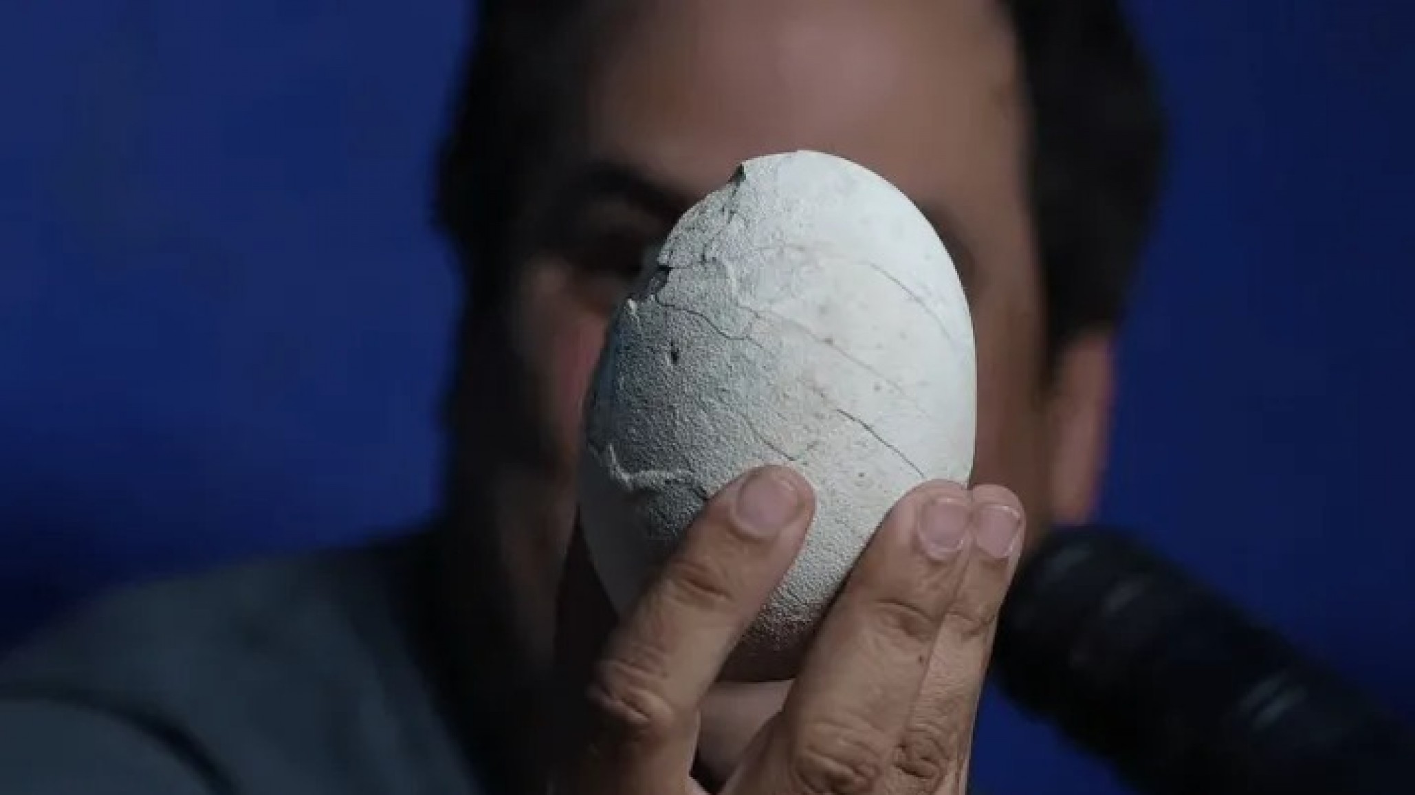 Investigadores encontraron un huevo de dinosaurio durante una expedición del Conicet