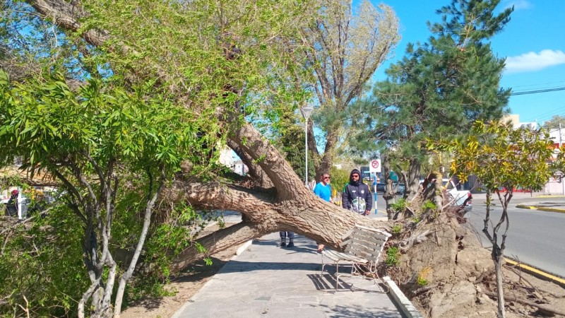 Caleta Olivia quedó sin luz en toda la ciudad