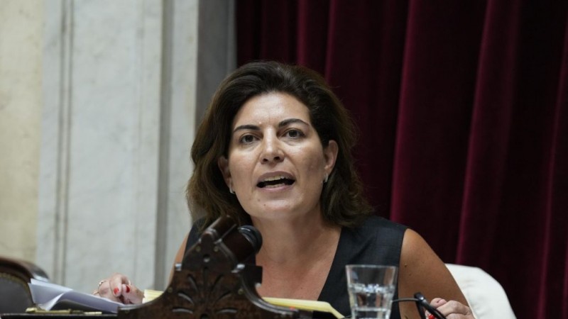Diputados logró limitar los DNU: Ana Clara Romero volvió a abstenerse