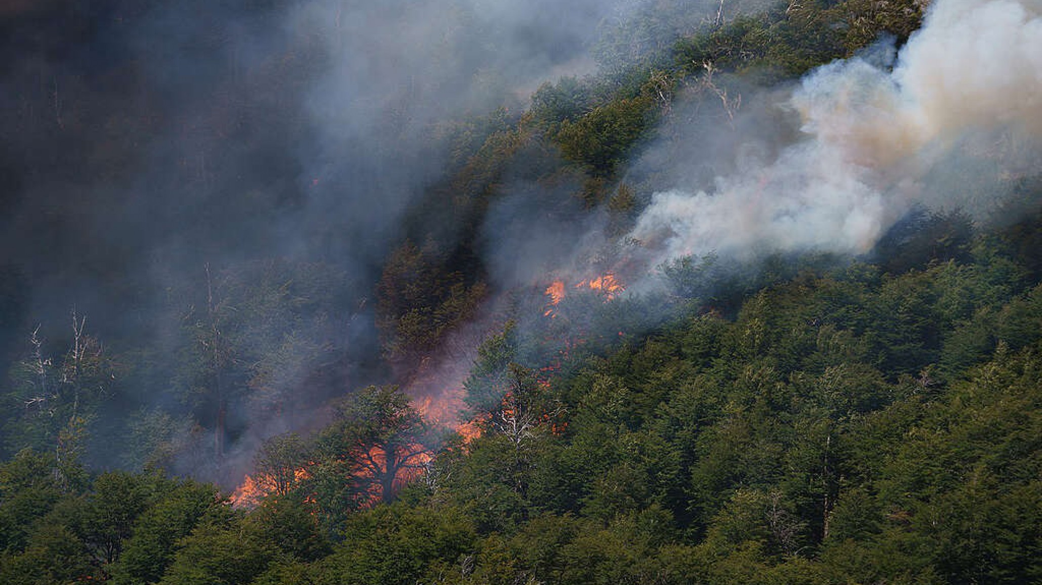 Alerta por peligro de incendios forestales: Chubut entre los avisos