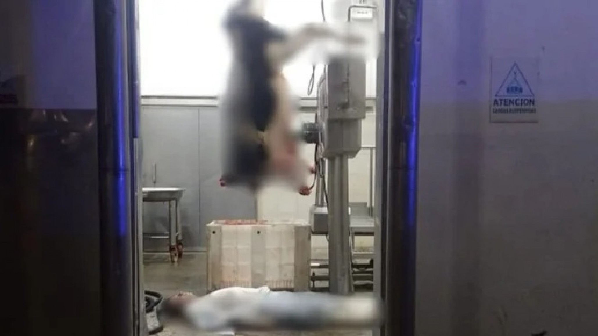 Murió un trabajador mientras realizaba tareas de desposte en un frigorífico en La Plata