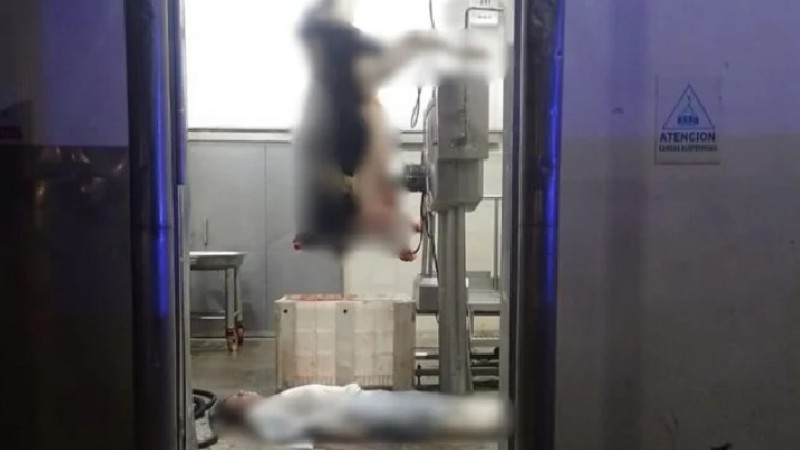 Murió un trabajador mientras realizaba tareas de desposte en un frigorífico en La Plata