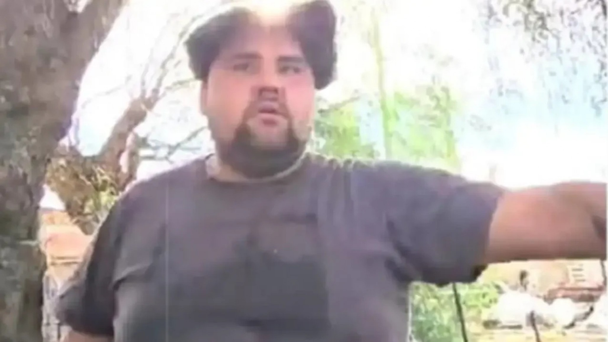 Un hombre fue condenado por robar y matar 35 animales