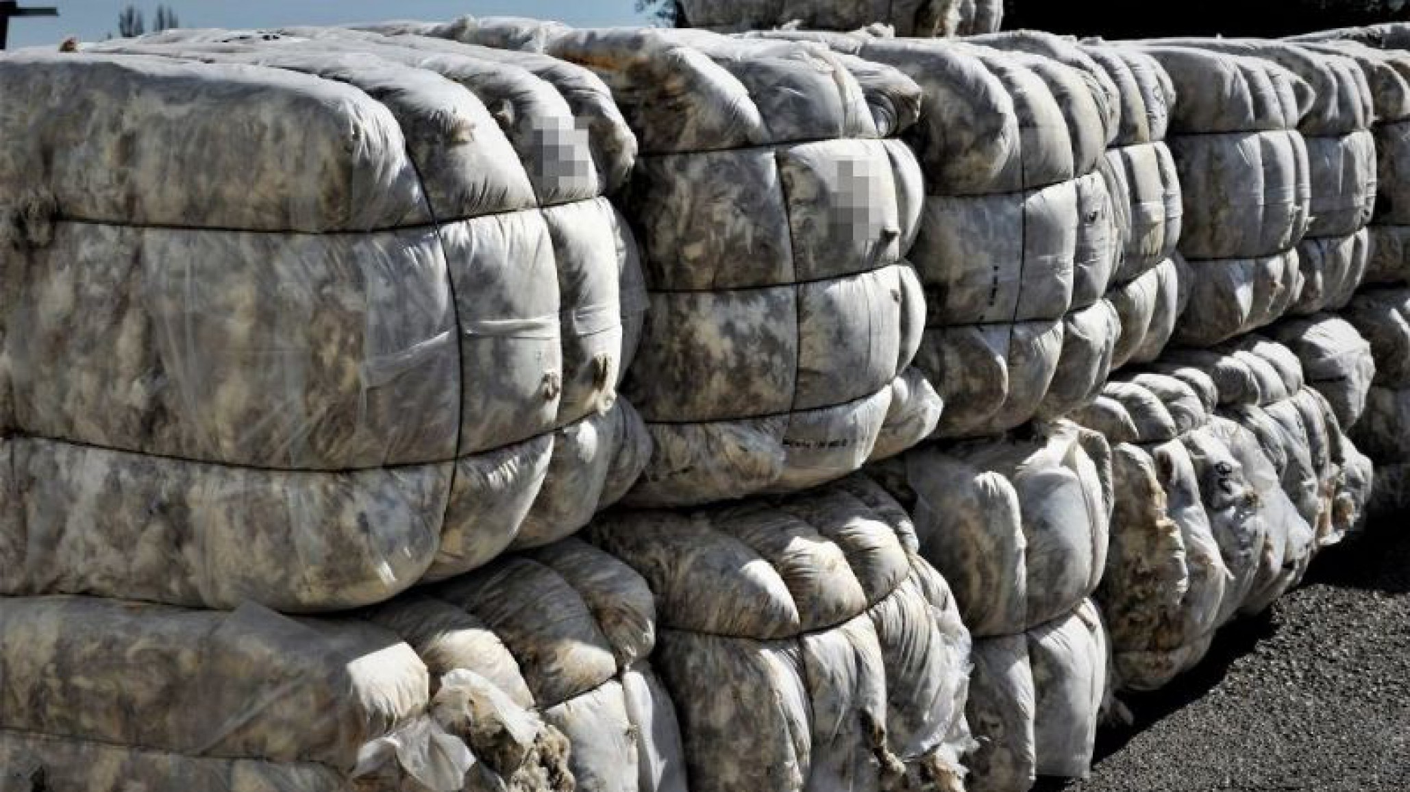 Ladrones robaron bolsones de lana valuados en más de medio millón de una chacra