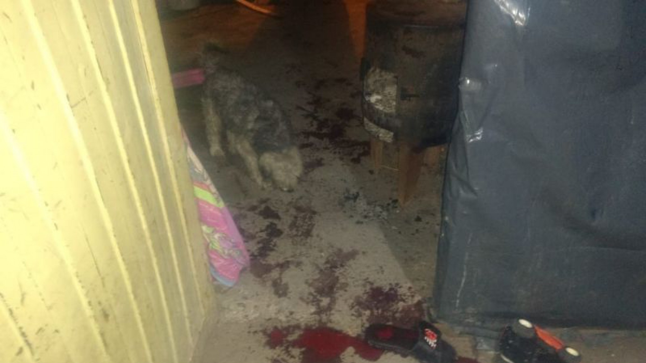 Salió a la puerta a atender a una persona, discutieron, le pegó y le disparó