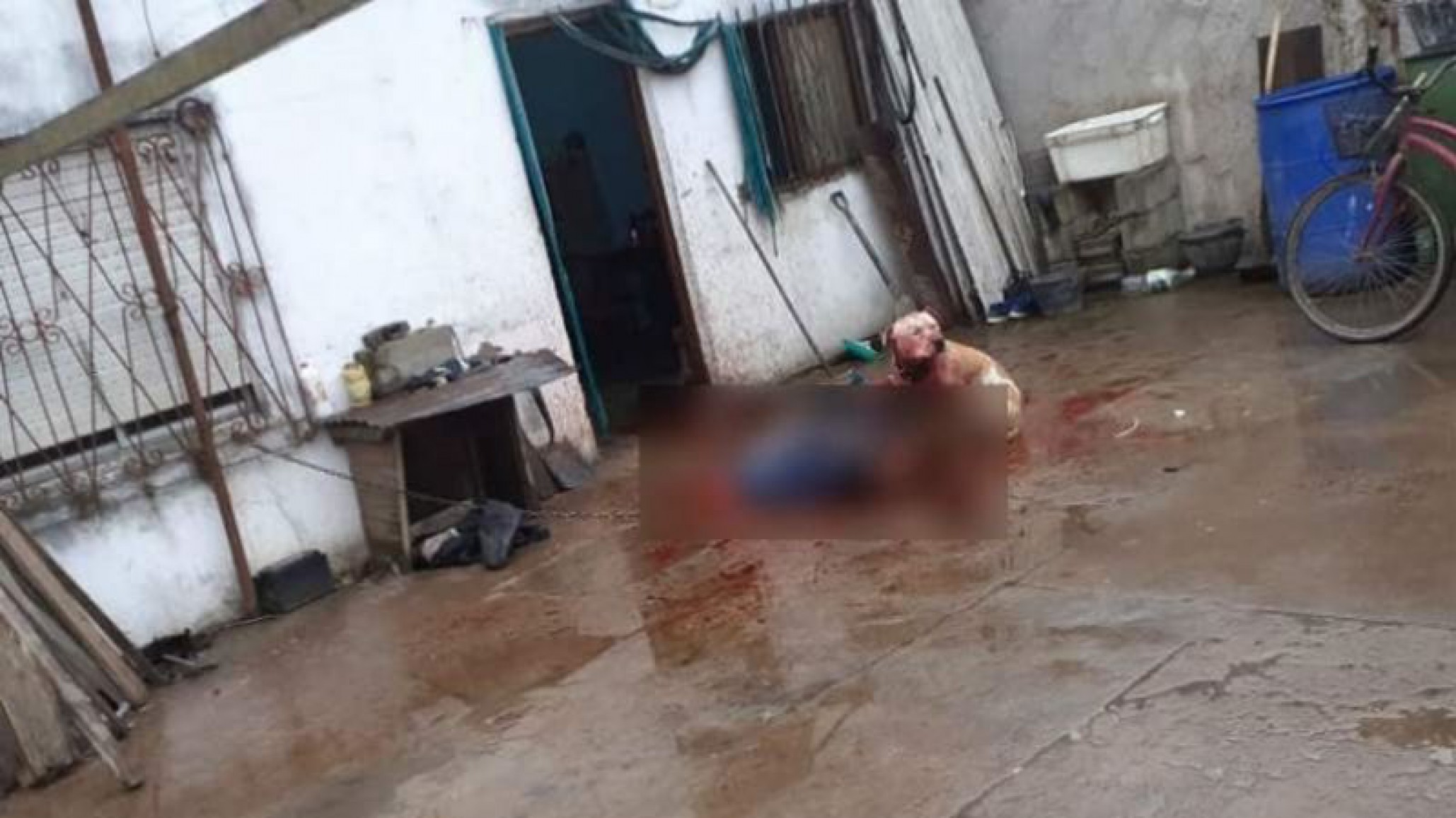 Sufrió un ataque de epilepsia y su perro pitbull lo mordió en el cuello hasta matarlo