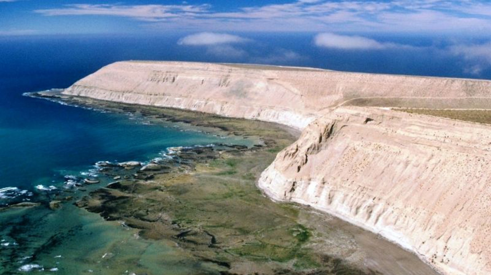 Punta del Marqués: Cada vez hay más avistajes de ballenas y mayor presencia de lobos marinos