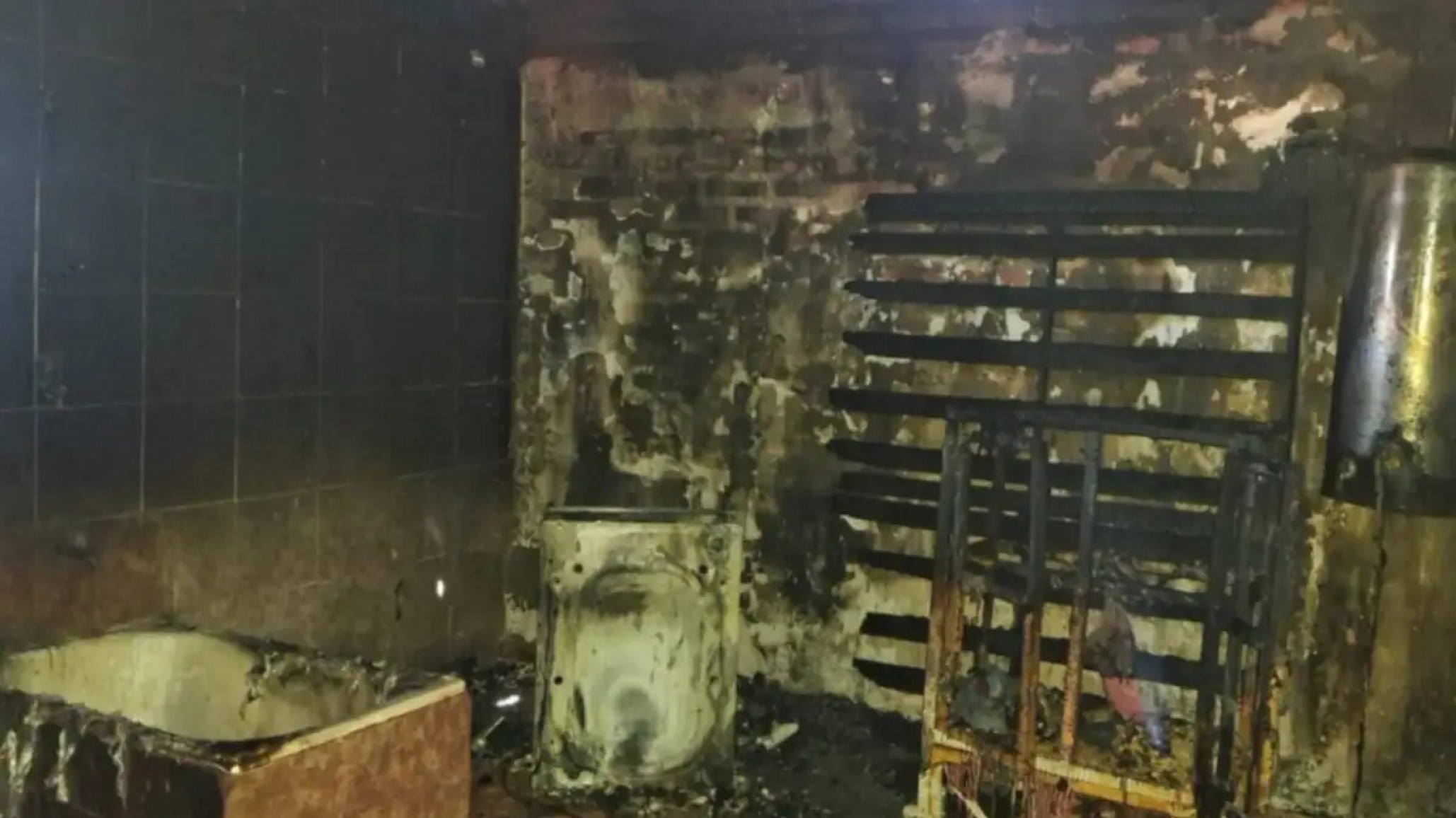 Tragedia en Centenario: cinco perros murieron en el incendio de una vivienda