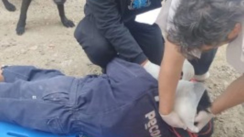 Albañil sufrió una caída laboral en Comodoro: lo desestabilizó una ráfaga de viento