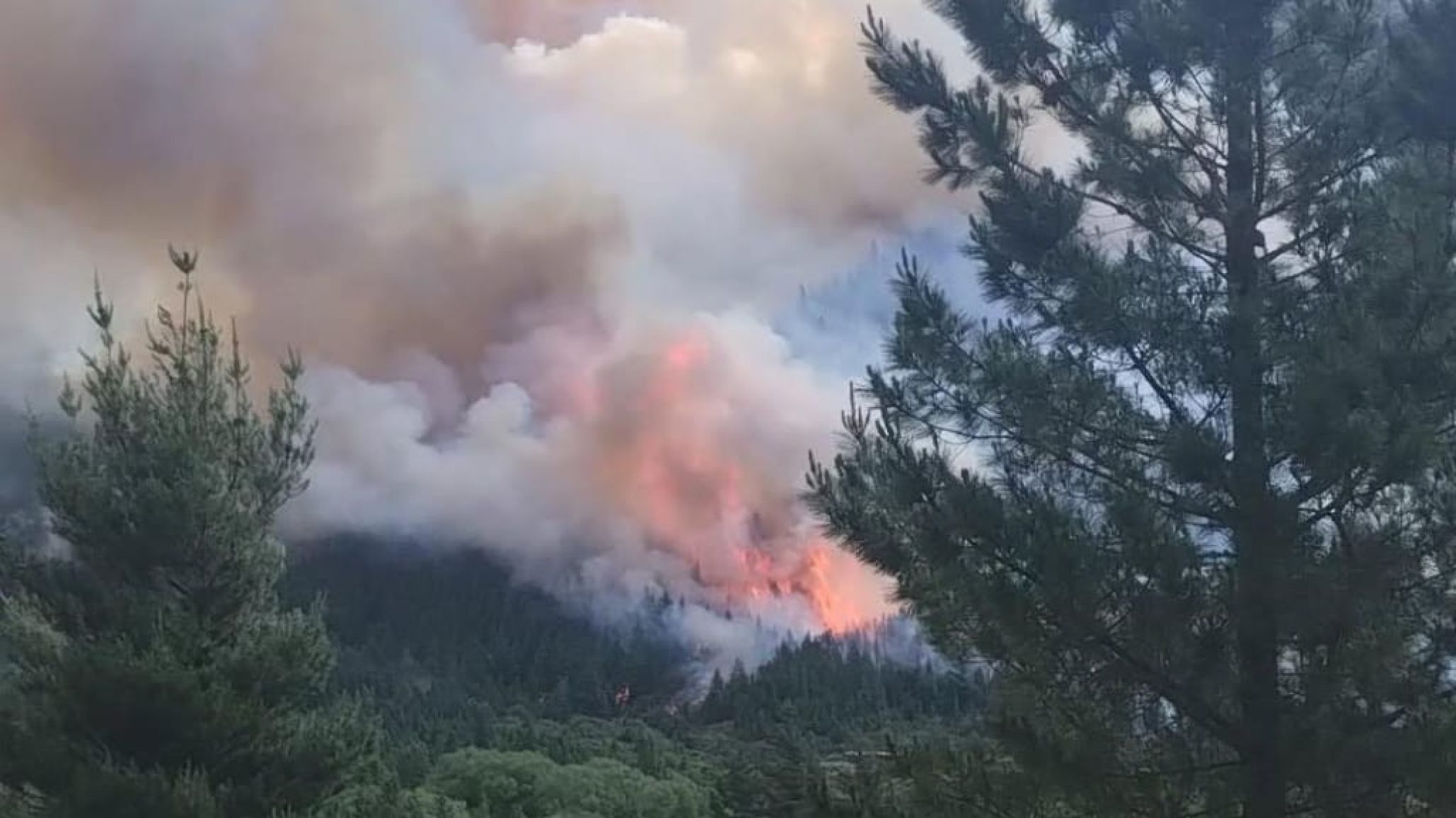 Incendio activo en Epuyén: brigadas y bomberos combaten un foco en zona de bosque