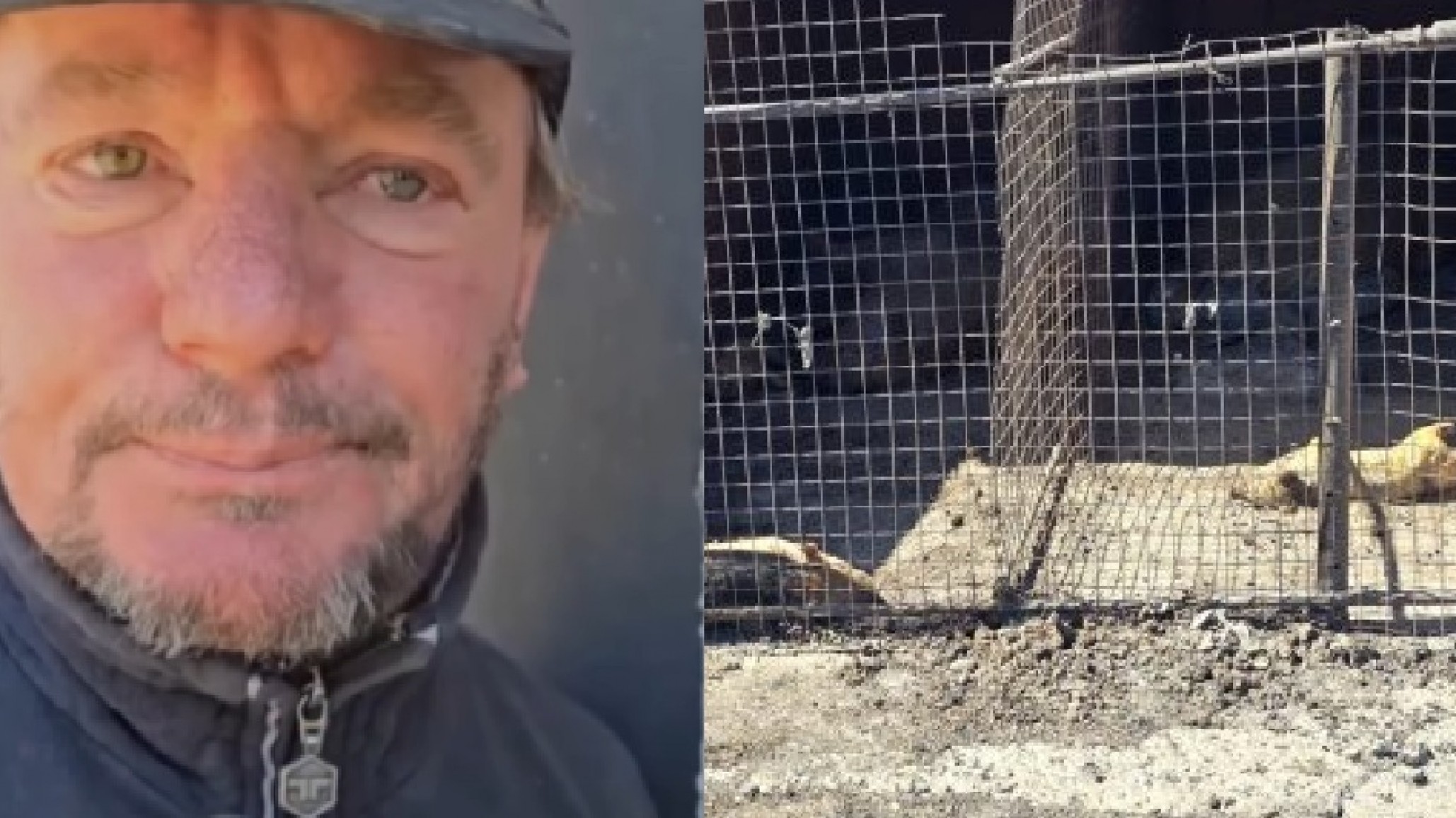 Incendio en km 14: una familia perdió más de 100 animales y denuncian que vecinos se llevaron ejemplares en medio del fuego