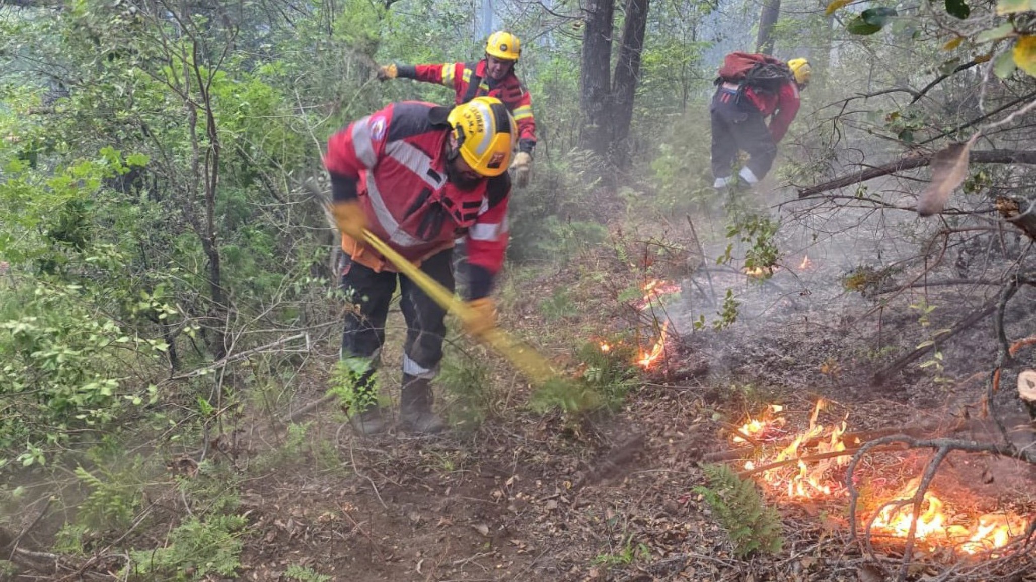Incendio en El Pedregoso: ya son 200 las hectáreas afectadas