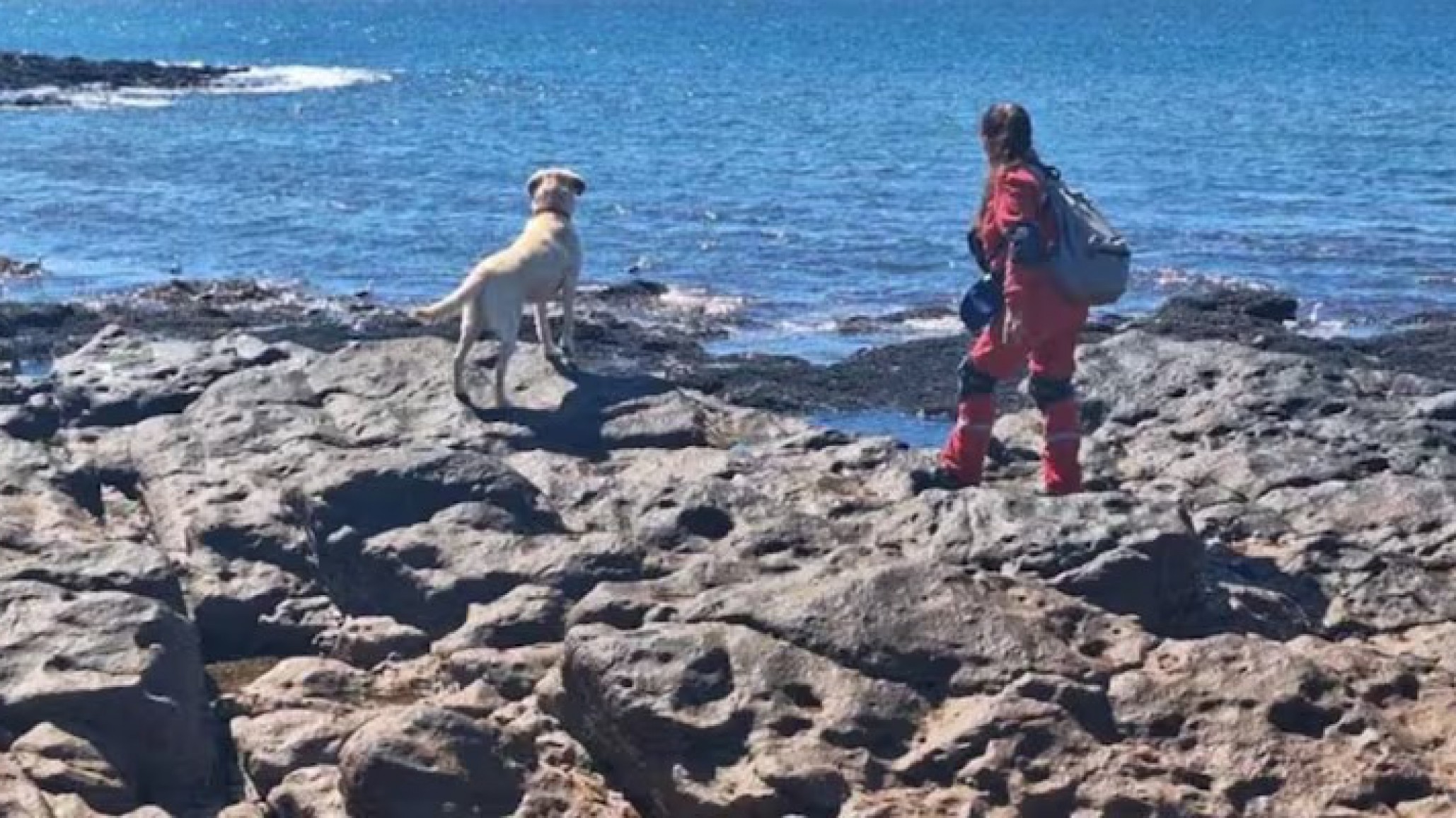 Hallaron un cuerpo en Santa Cruz y analizan si pertenece a los jubilados desaparecidos