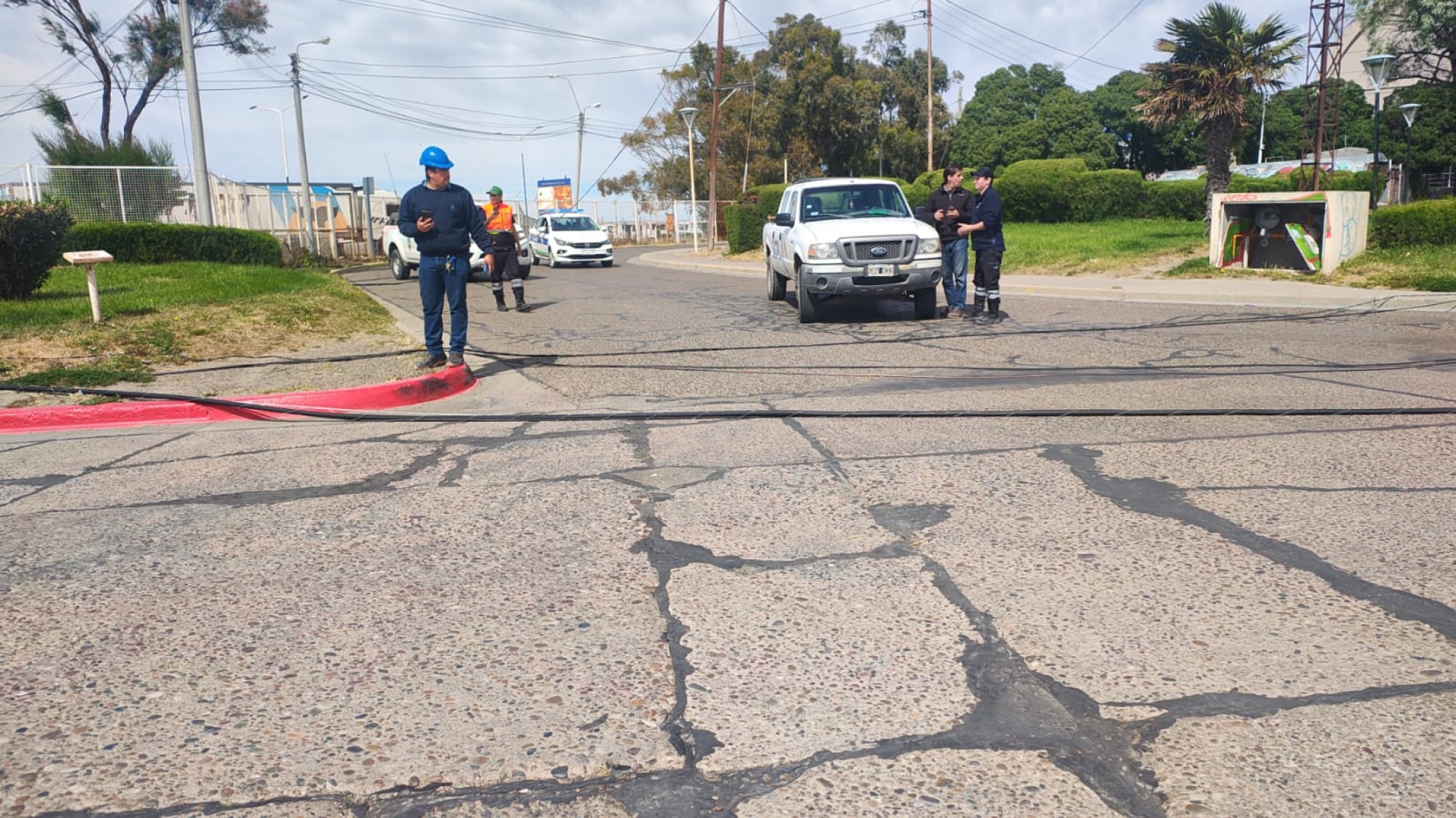 Peligro en Comodoro: se desplomo una palma de luz en la Costanera