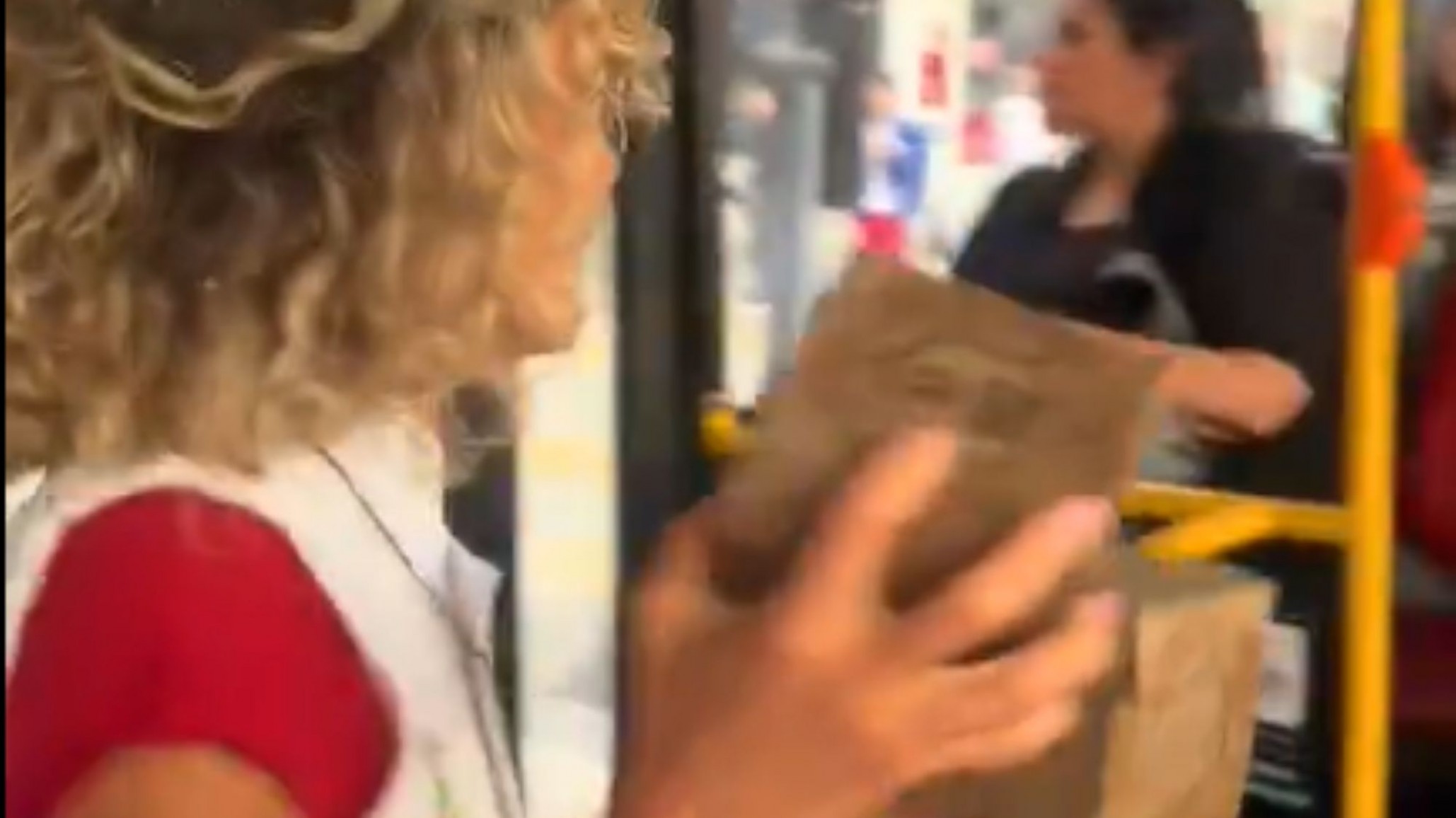 Maru Botana organizó su tradicional "Pandulzazo" y repartió pan dulce en el colectivo