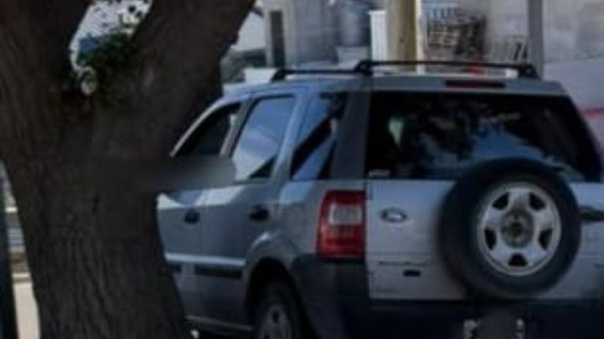 Perdió el control y chocó contra un árbol en Avenida Rivadavia