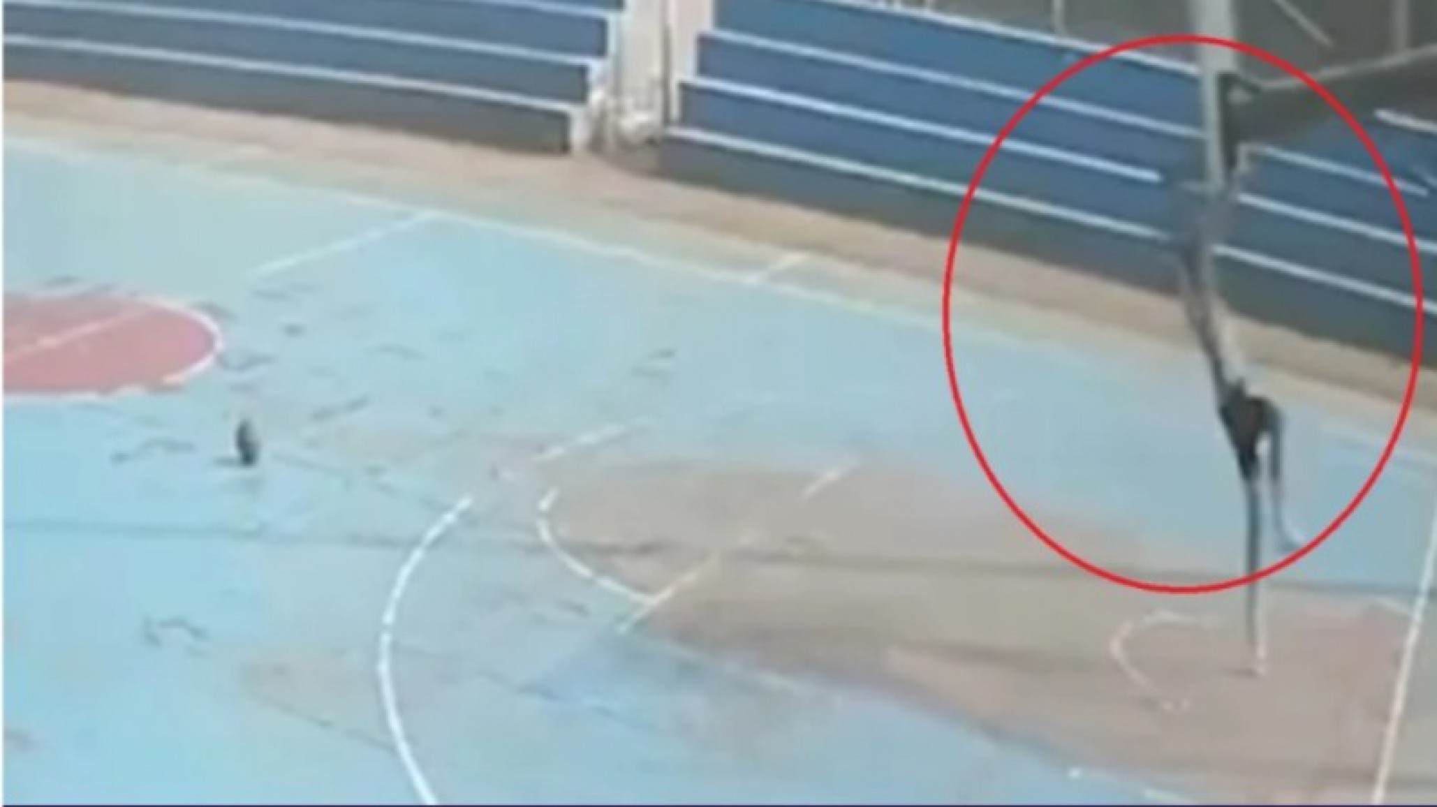 Murió un joven basquetbolista tras la caída de un aro durante un entrenamiento