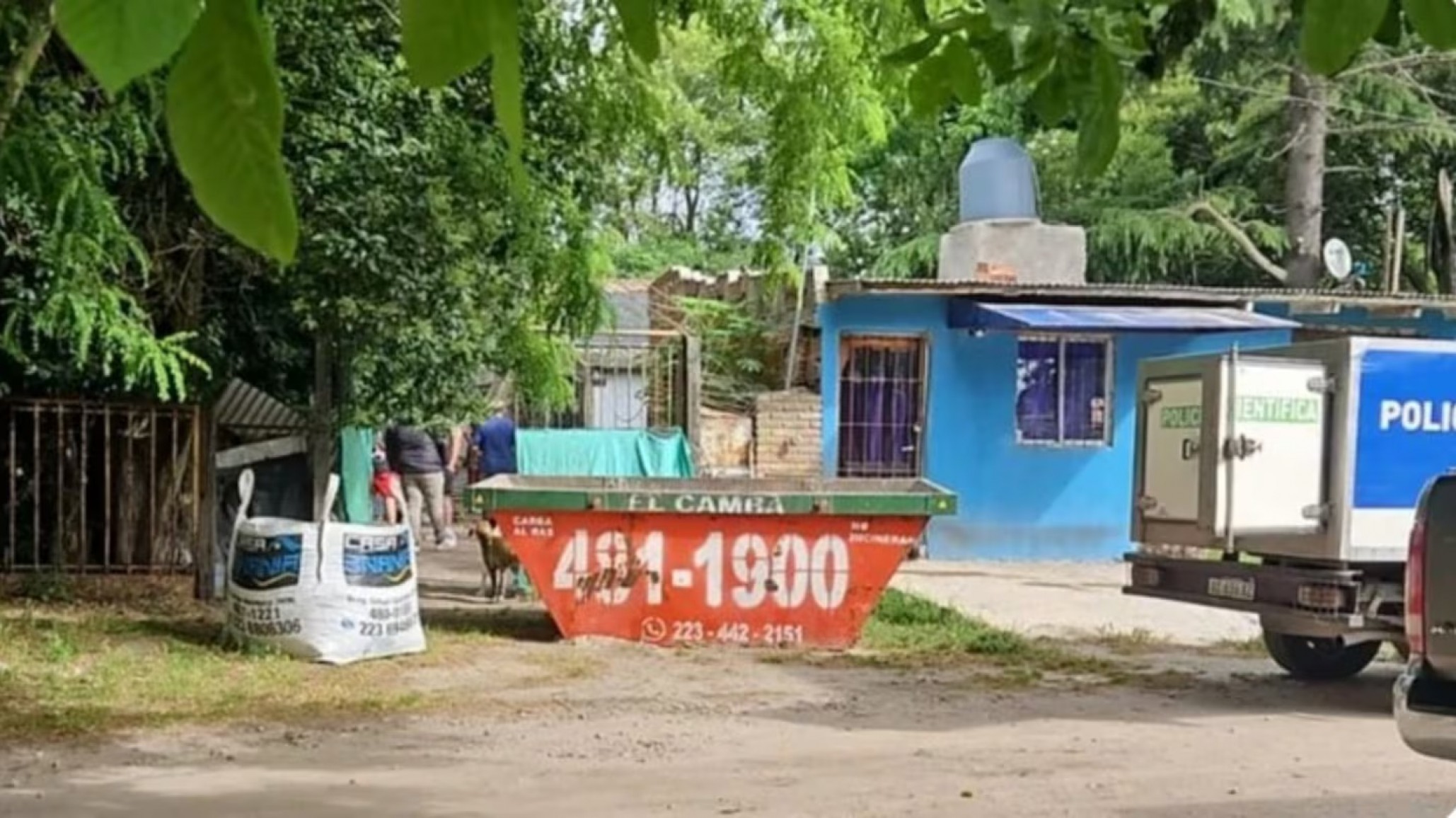Horror: una mujer envenenó a sus 20 perros y murió tras ingerir la misma sustancia