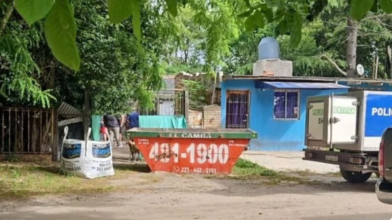 Horror: una mujer envenenó a sus 20 perros y murió tras ingerir la misma sustancia