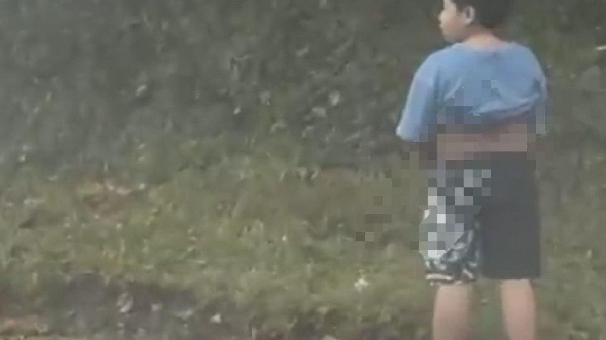 El video que estremece a Colombia: Un niño bajó del auto segundos antes de que un camión matara a sus padres