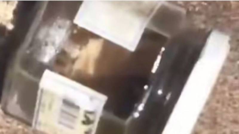 Hallan un dedo humano en una playa y lo vinculan con una posible "ofrenda" Umbanda