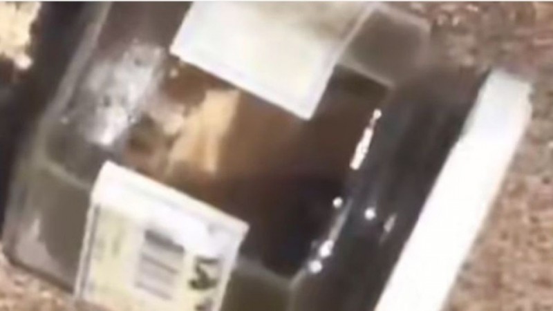 Hallan un dedo humano en una playa y lo vinculan con una posible "ofrenda" Umbanda