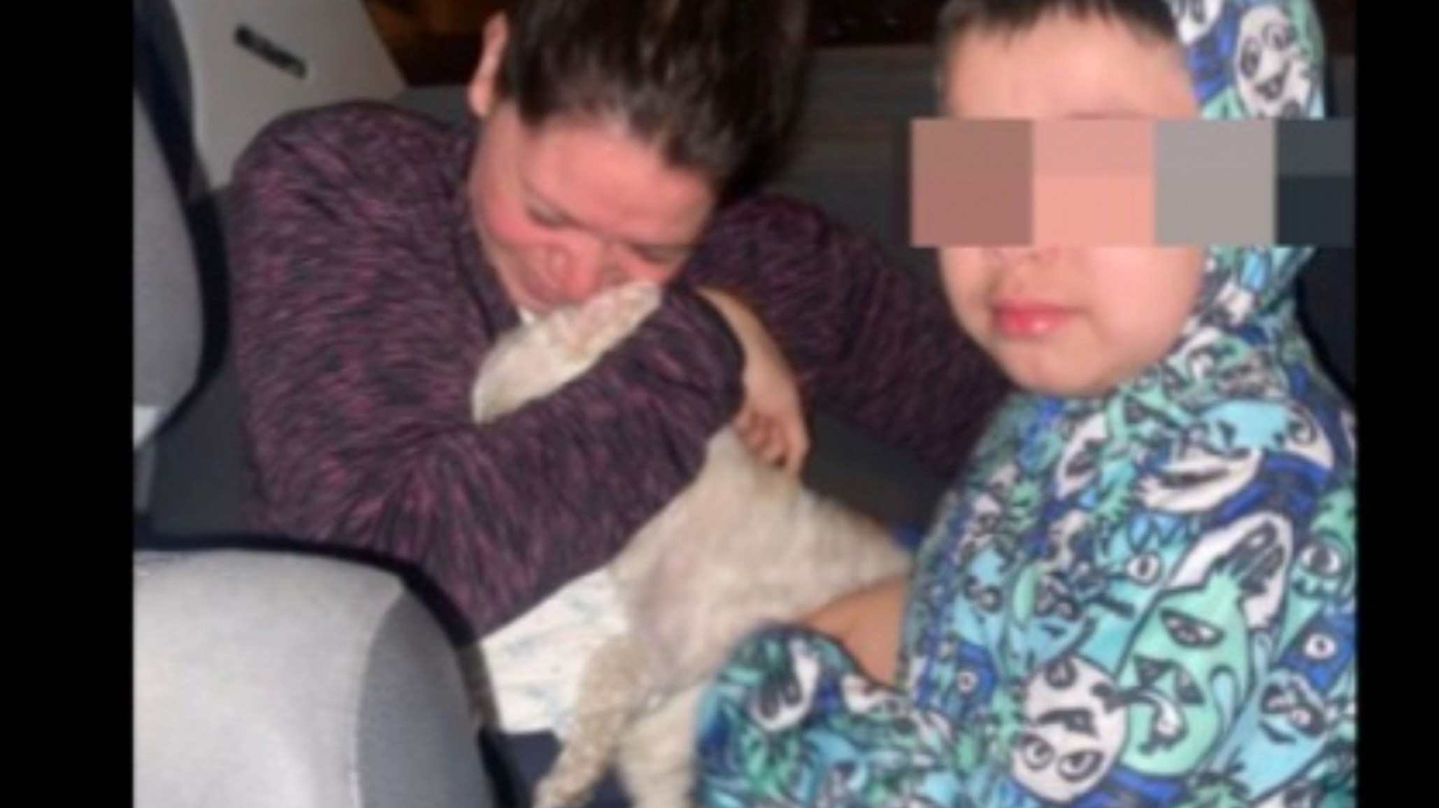 Final feliz en Pietrobelli: apareció Teo, el perrito que había sido buscado durante dos días