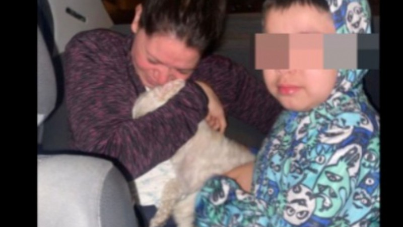 Final feliz en Pietrobelli: apareció Teo, el perrito que había sido buscado durante dos días