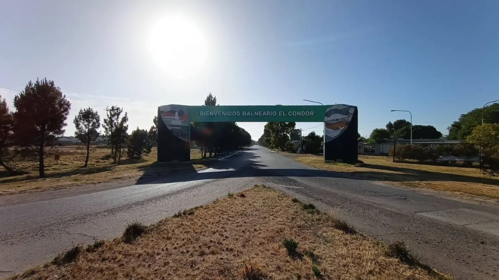 Un jabalí se cruzó en la ruta y causó una tragedia: murieron una mujer y su hija