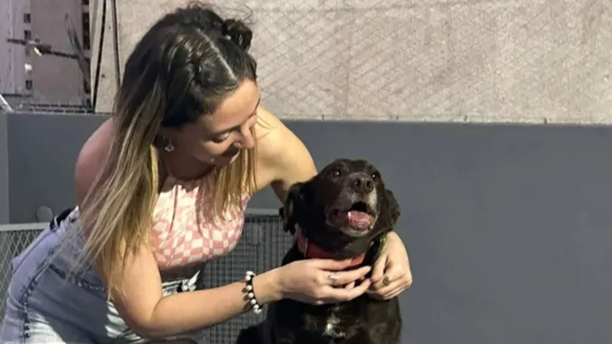 Rosario: murieron 14 animales rescatados y una familia perdió todo