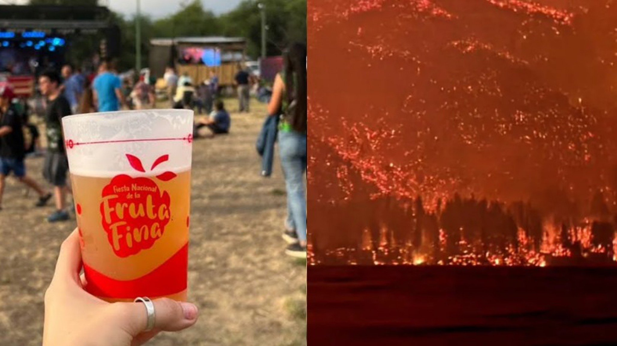 Se suspendió la Fiesta Nacional de la Fruta Fina por el incendio en El Hoyo