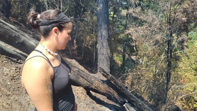 Se refugió en un tanque australiano para sobrevivir al fuego que avanzaba sobre su casa