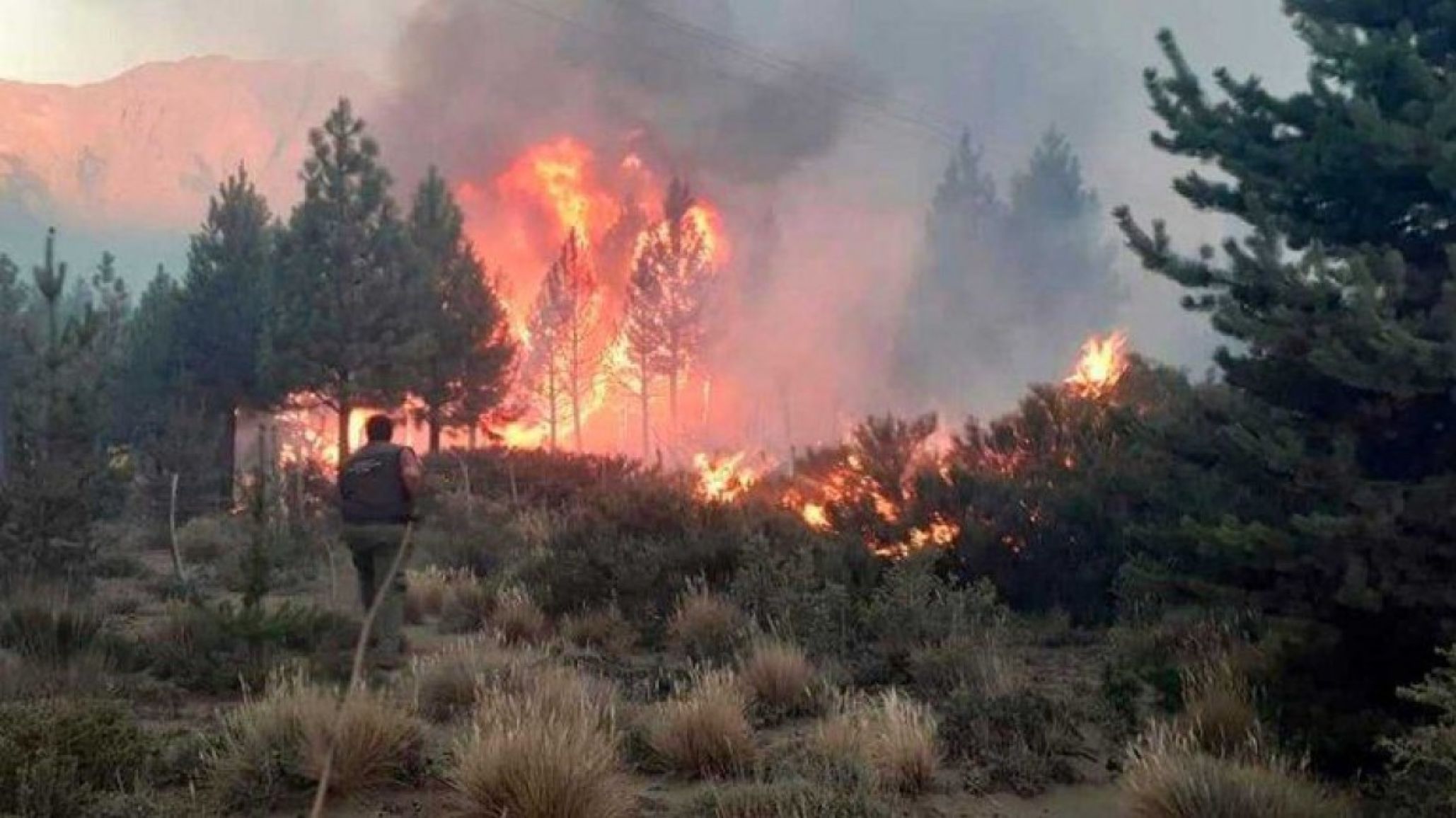 El Maitén refuerza medidas preventivas y define un punto de evacuación ante el avance del fuego