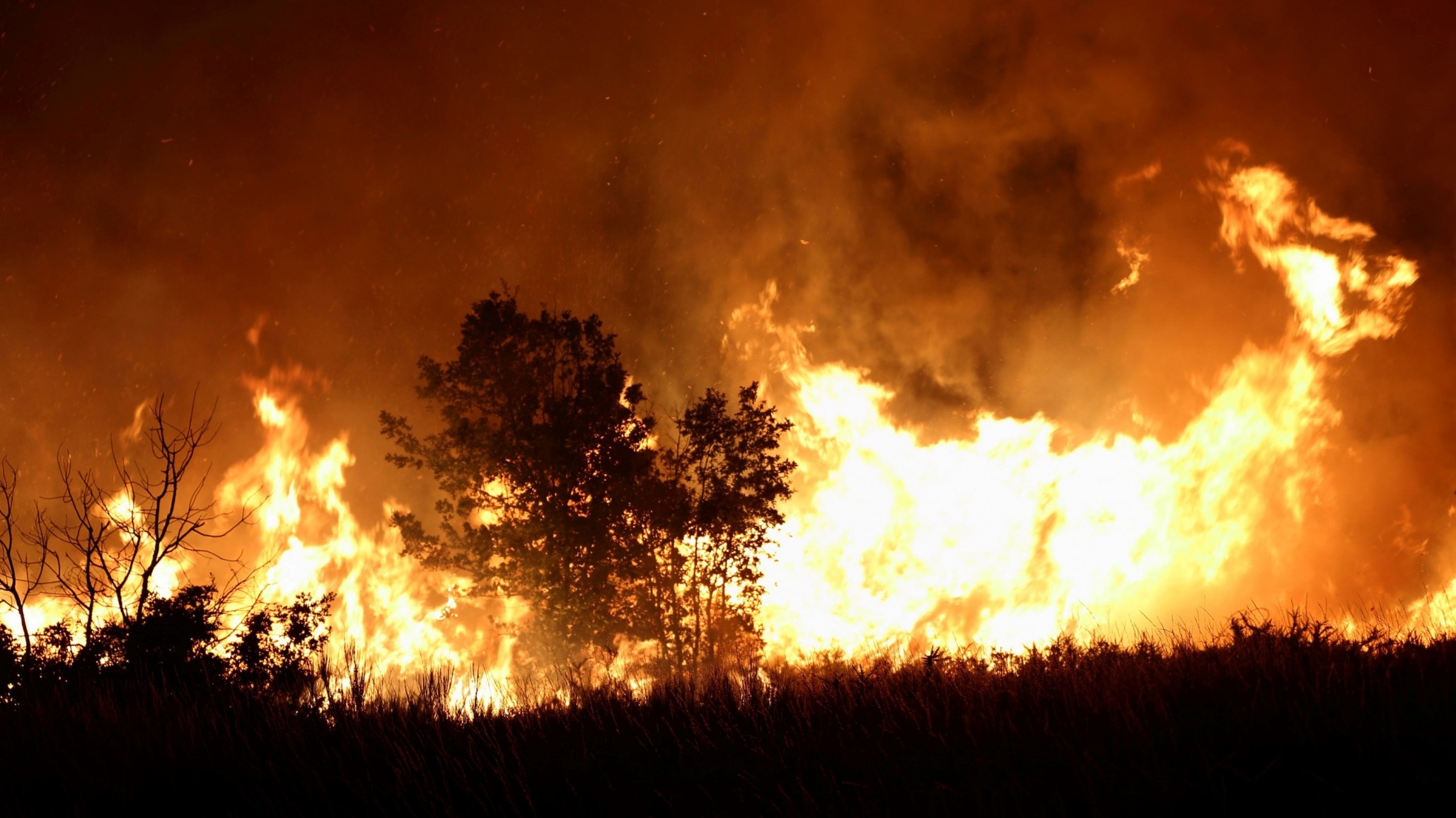 Incendios en la Patagonia: denuncian que el ajuste de Milei agrava la crisis ambiental