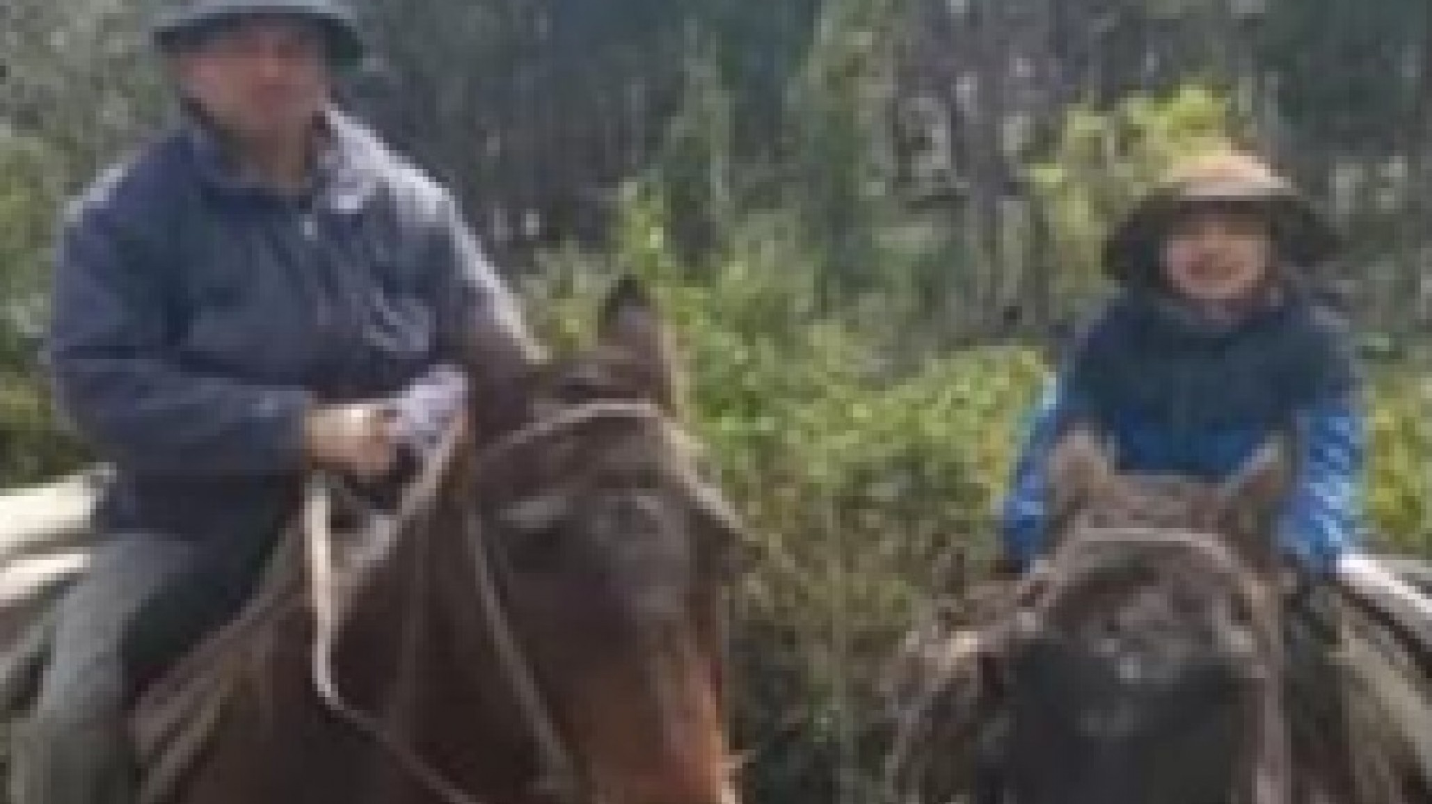 Puerto Patriada: buscan fardos y alambre para los animales sobrevivientes de la familia Rogel