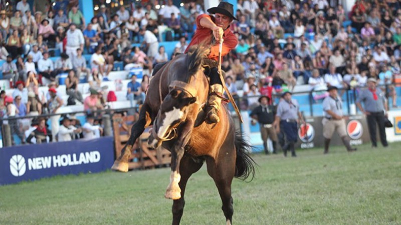 Doma, folclore y fiesta: Todo lo que tenés que saber sobre la grilla de Jesús María 2026