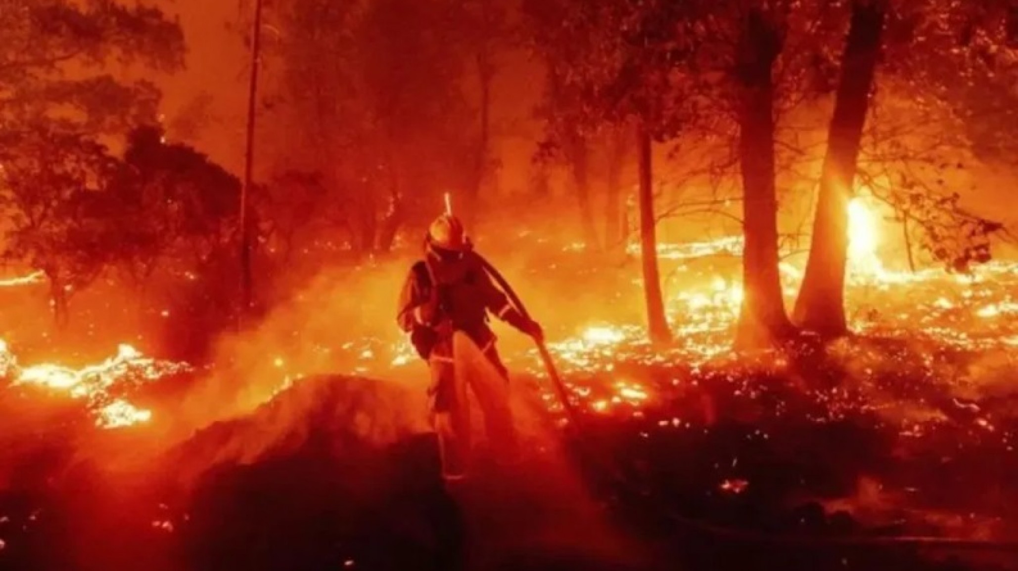 Mudanza sospechosa: Investigan si un conflicto de tierras originó el incendio en Puerto Patriada