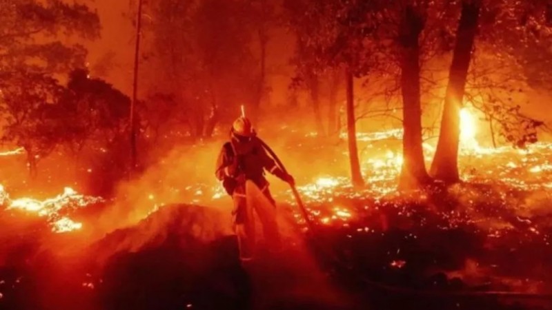 Mudanza sospechosa: Investigan si un conflicto de tierras originó el incendio en Puerto Patriada
