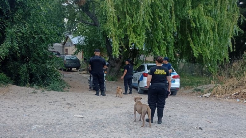 Comodoro: Rescatan a una pitbull y a sus cinco cachorros durante un allanamiento en zona norte