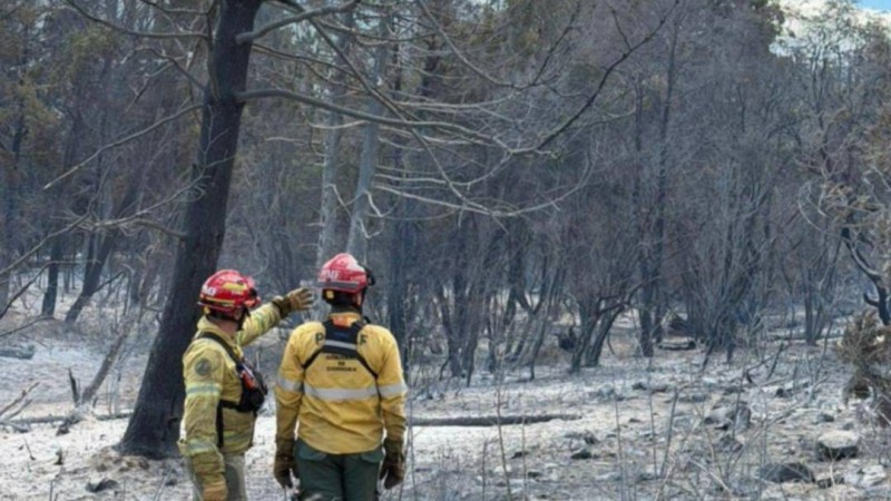 Más de 11 mil hectáreas afectadas por el incendio en Puerto Patriada
