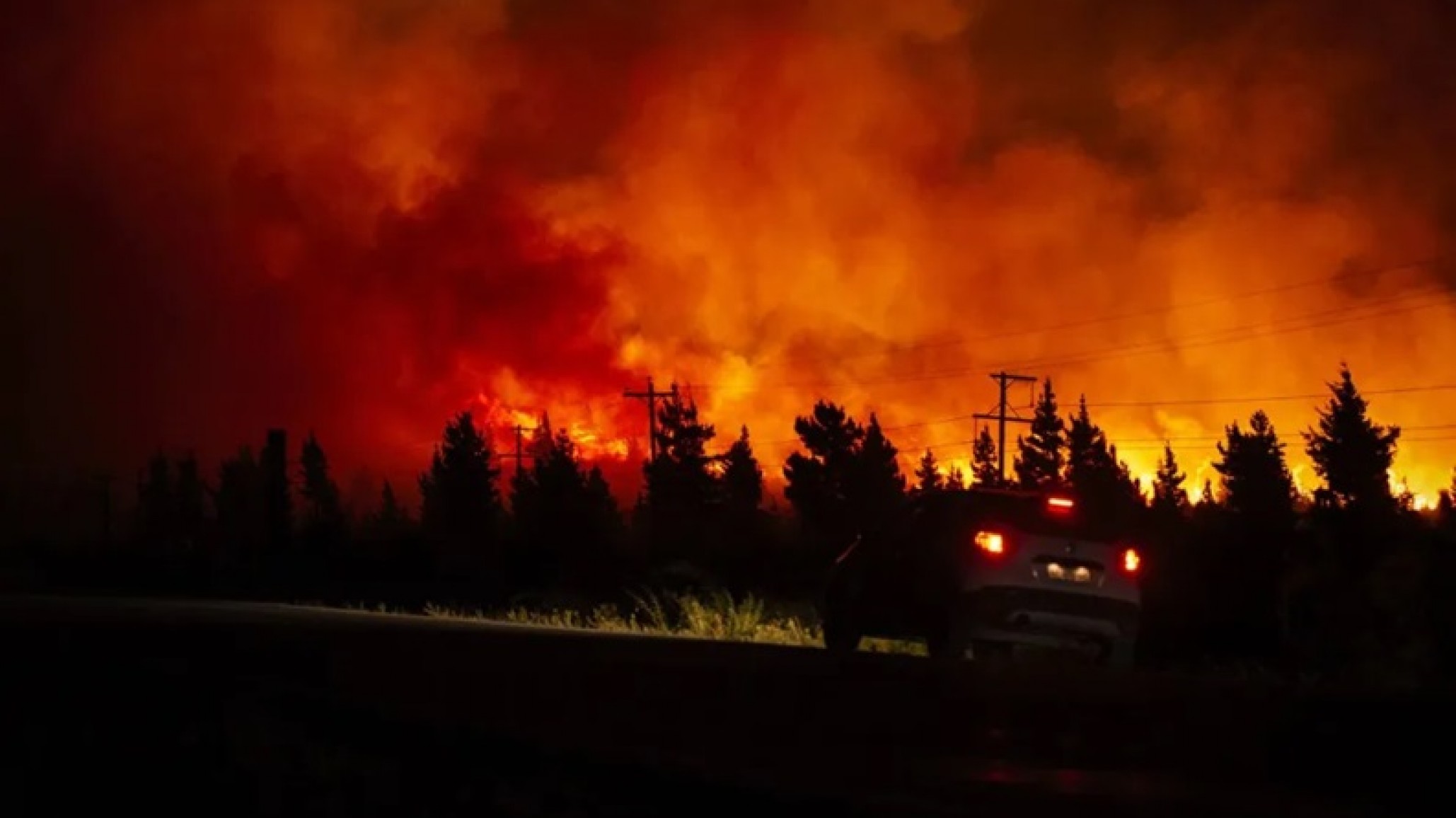 El fuego arrasó con el 75% de los bosques en Epuyén