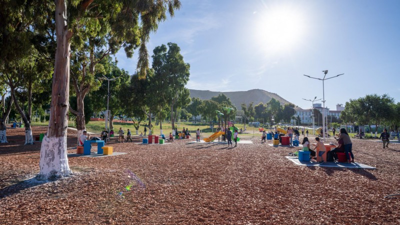 Artistas autoconvocados organizan el festival "Todos por la Cordi" para ayudar a los brigadistas