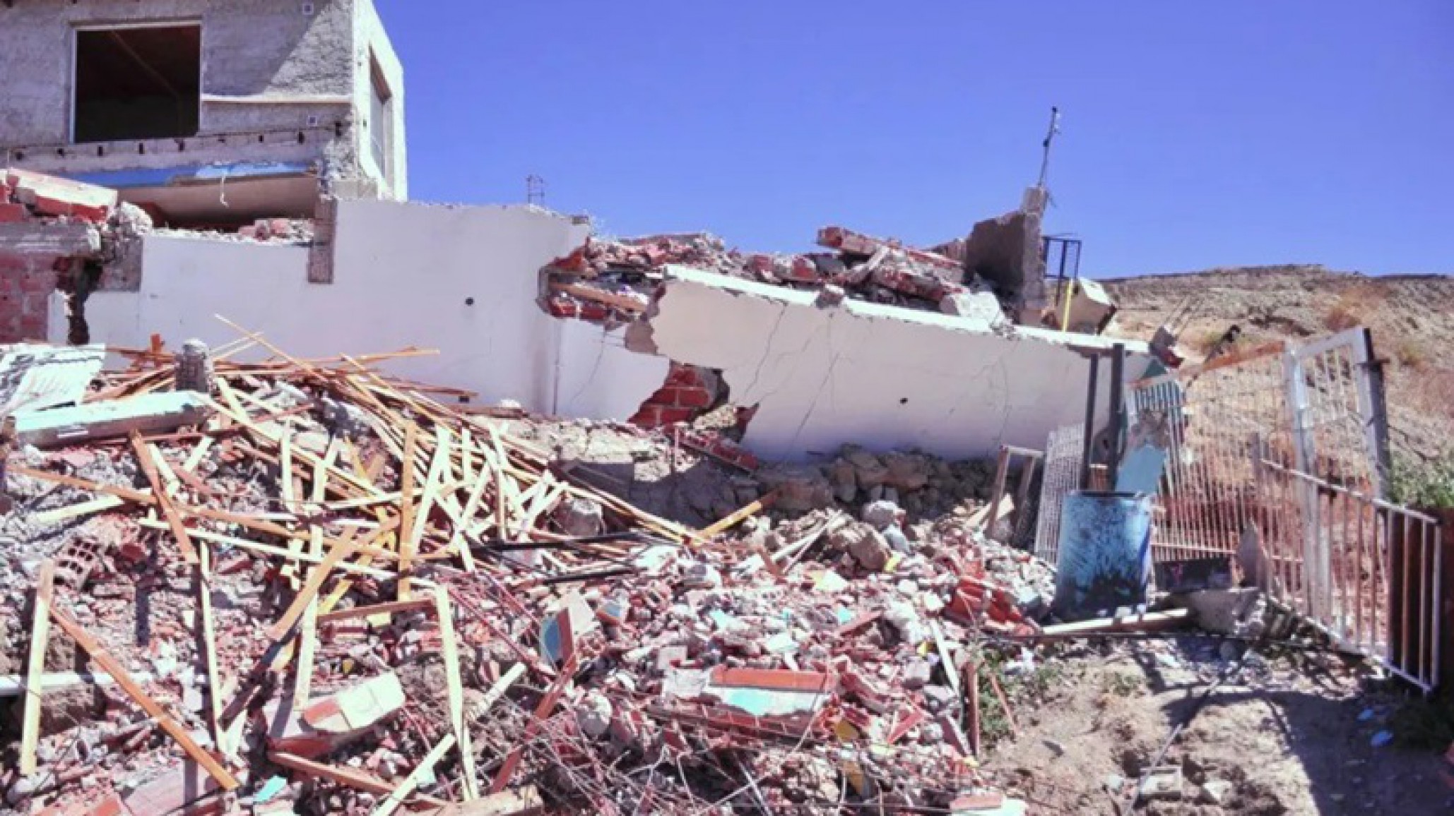 Buscan hogares de tránsito para cinco perros de una familia evacuada por el Cerro Hermite